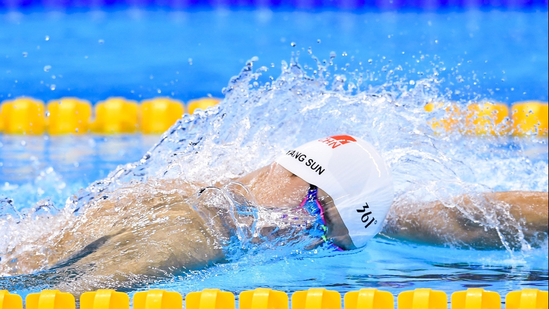 荷兰马术协会与英国马术协会签署合作协议，共同举办国际马术赛事。